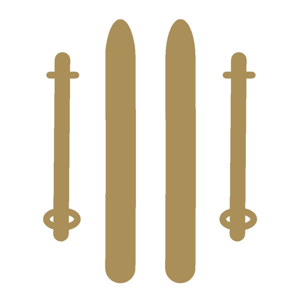 Icon Skier