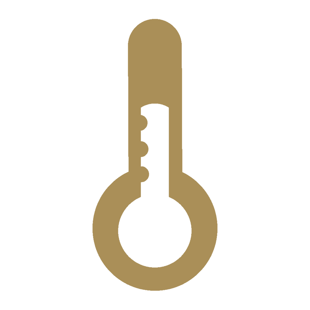 Icon Thermometer